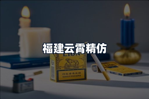 福建云霄精仿